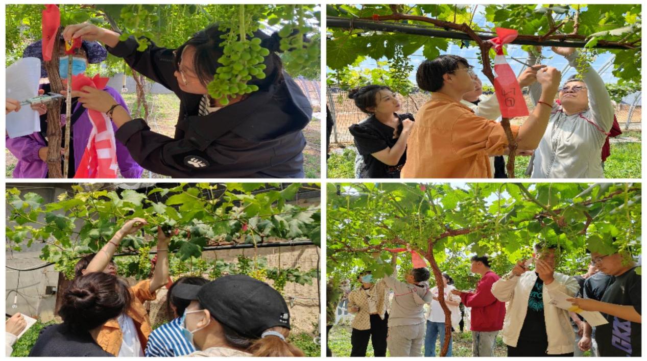 同砚们举行下手操作